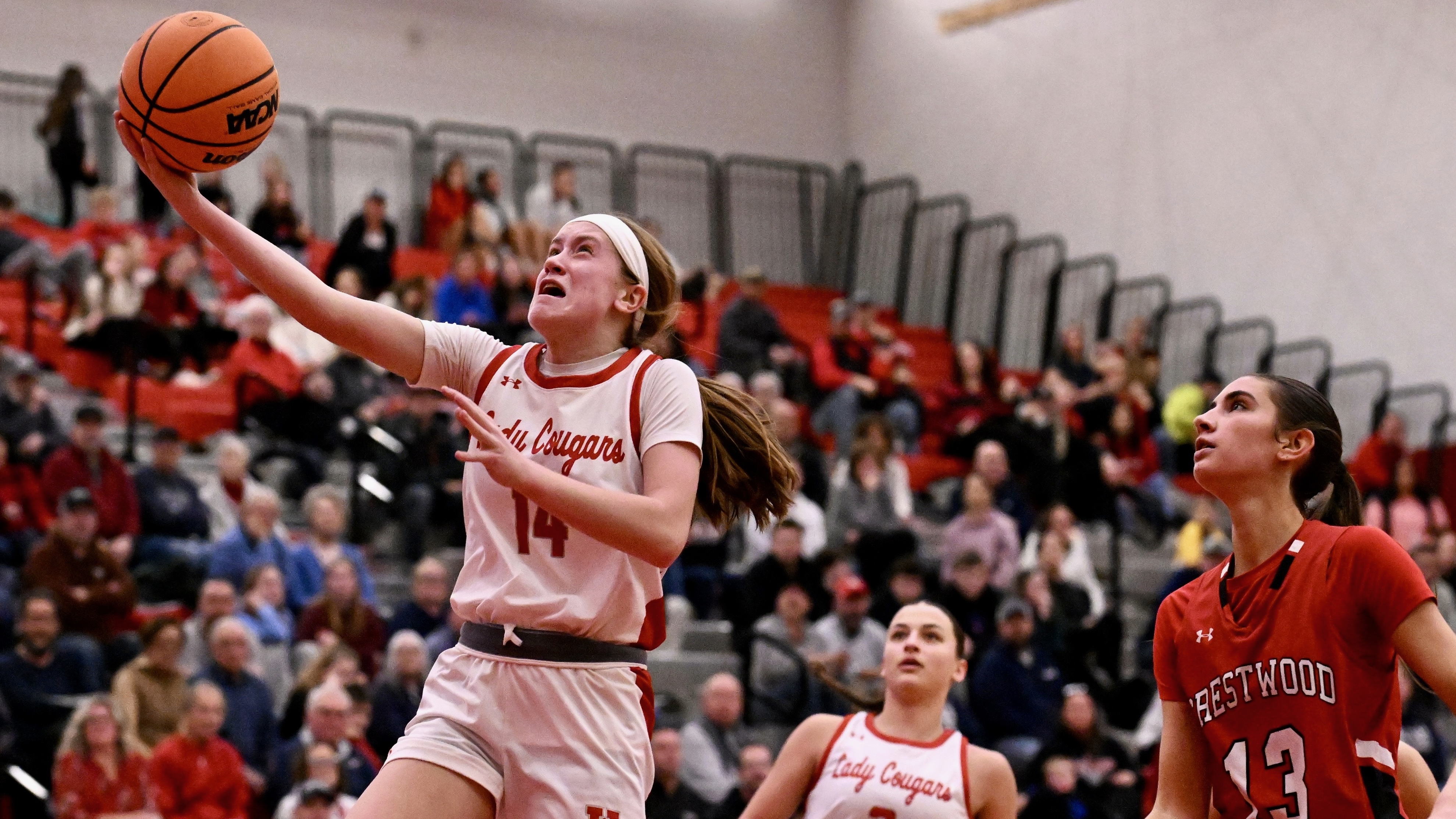 Hazleton Area Gets Revenge, Captures WVC Championship in Rubber Match with Crestwood