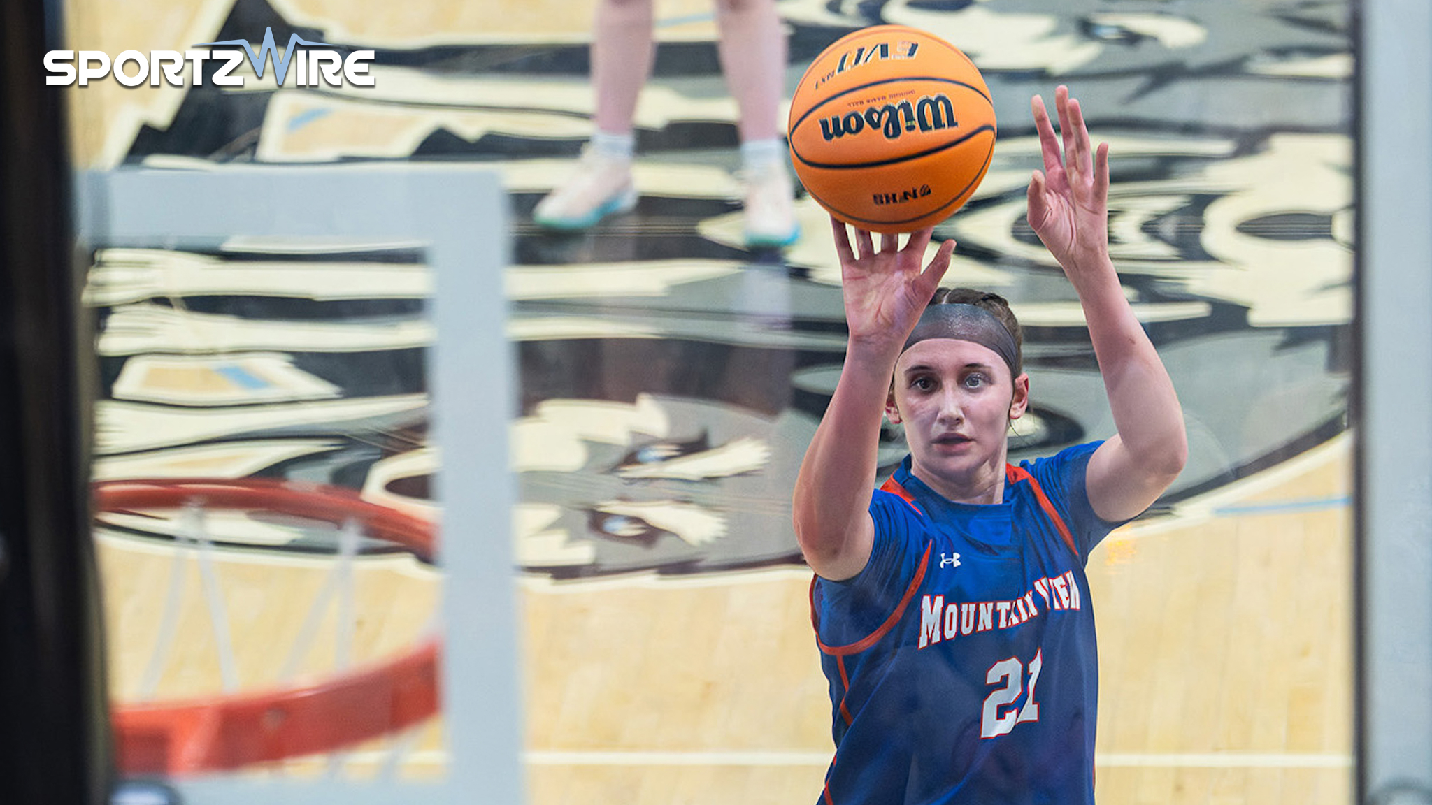 PSWA All-State teams recognize Pennsylvania’s best with NEPA names earning their place among them