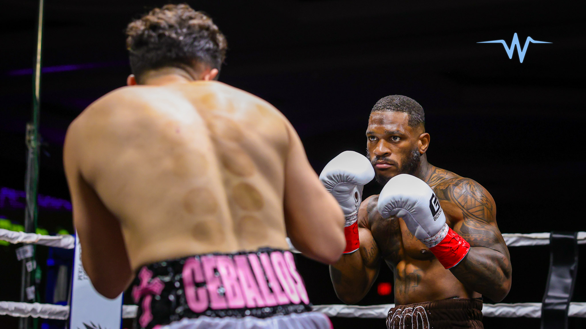Fall Fists Packs a Punch as Mohegan Pennsylvania Comes Alive for a Night of Boxing