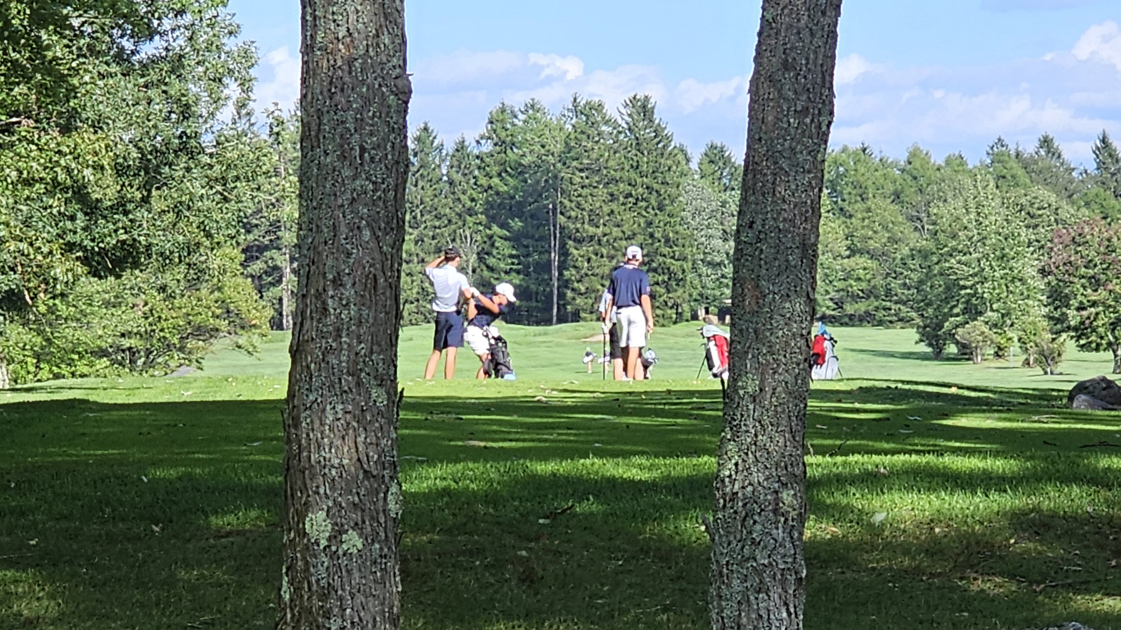 Pittston Area Fends Off Wilkes-Barre Area on the Links to Remain Undefeated
