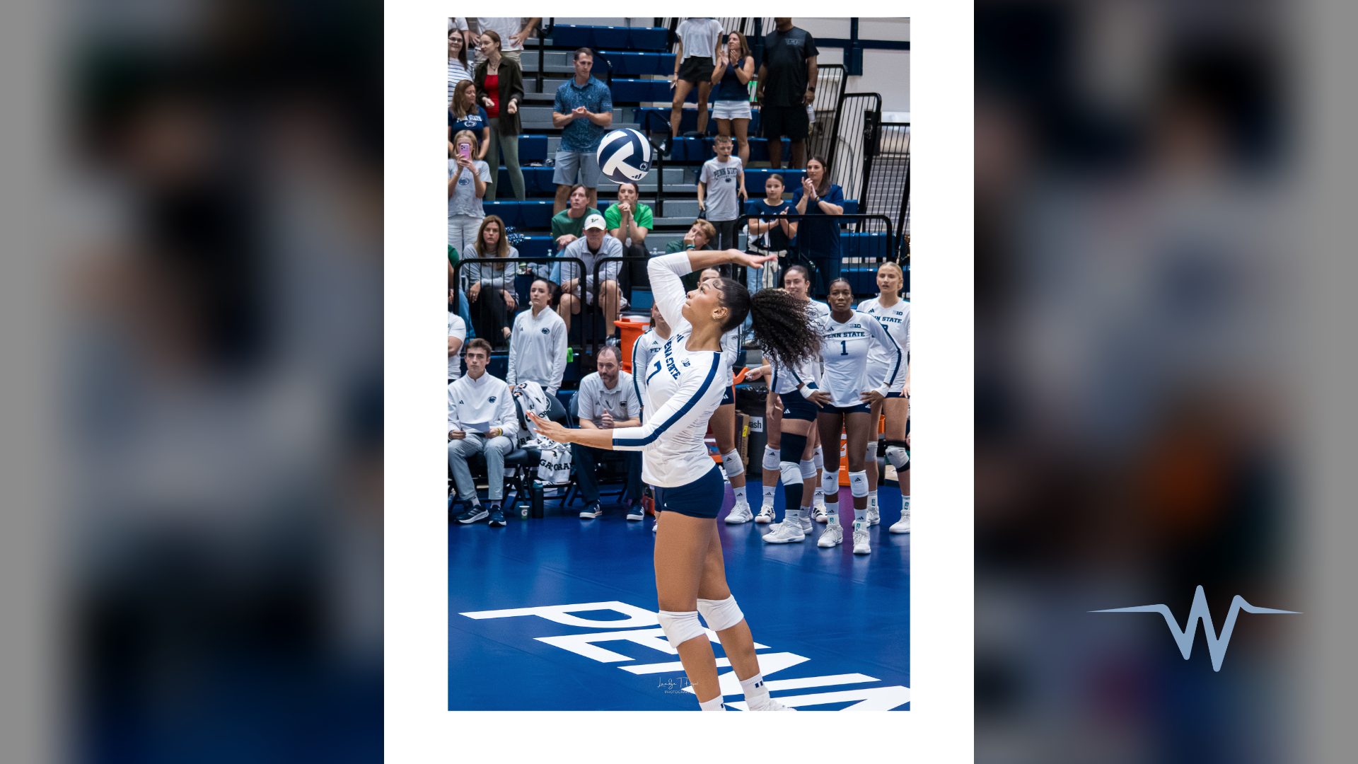 Spartans Improve to 11-1 With Win Over Penn State Volleyball